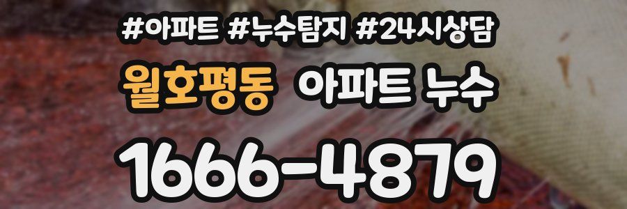 월호평동 누수탐지