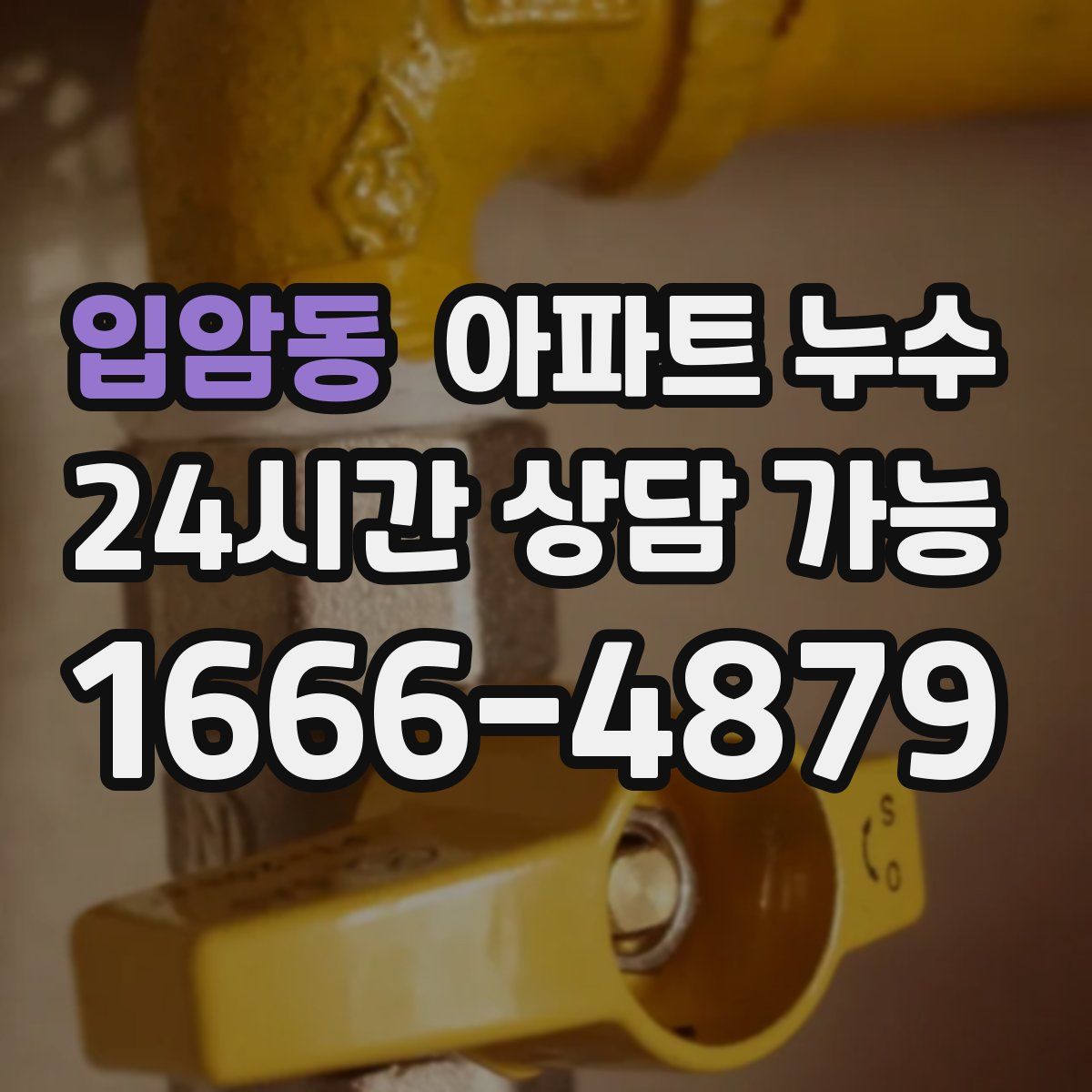 입암동 아파트 누수탐지