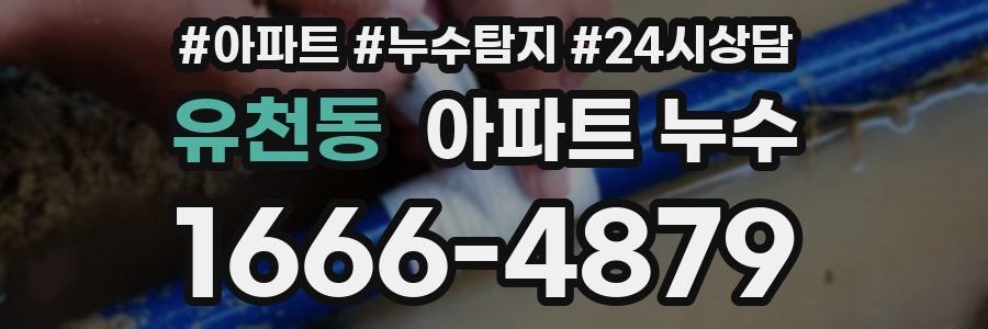 유천동 누수탐지