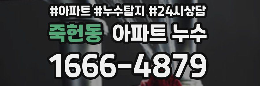 죽헌동 누수탐지