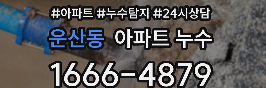 운산동 누수탐지