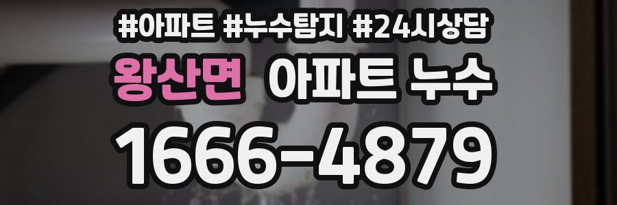 왕산면 누수탐지