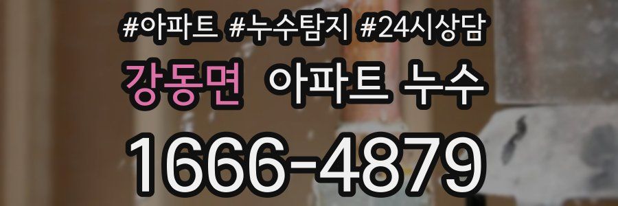 강동면 누수탐지