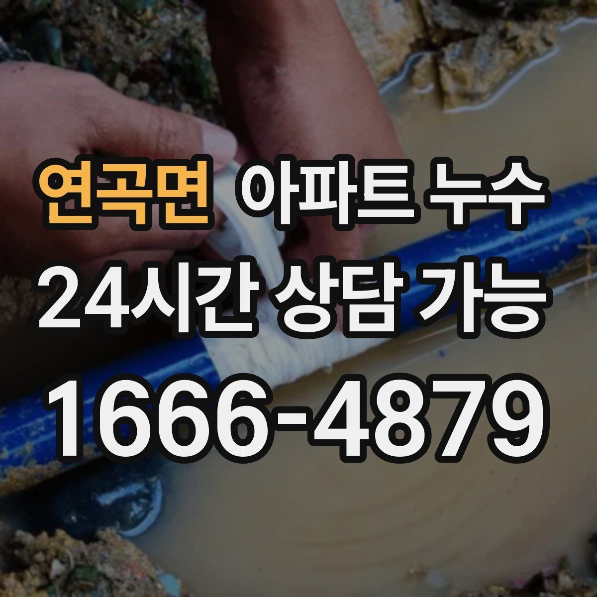 연곡면 아파트 누수 점검 후 조치 순서를 어떻게 잡을까