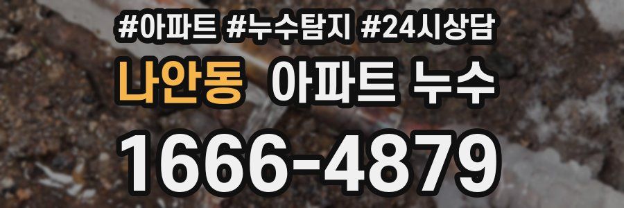 나안동 누수탐지