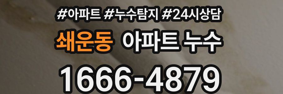 쇄운동 누수탐지