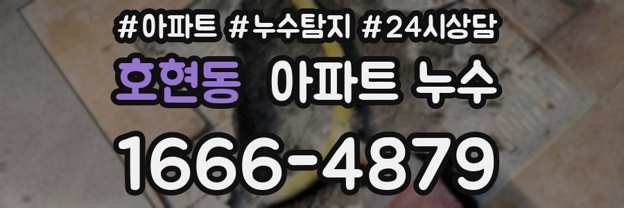 호현동 누수탐지