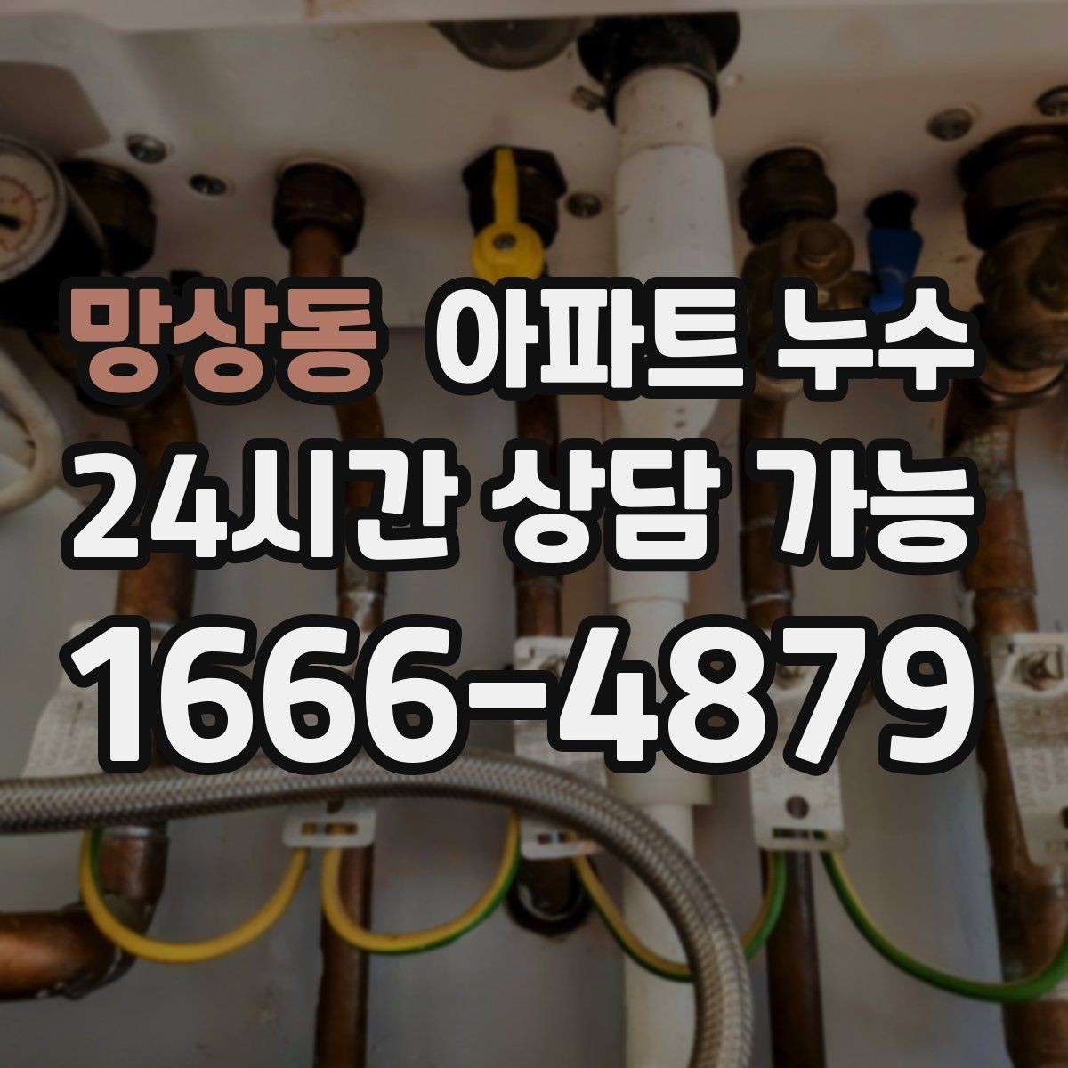 망상동 아파트 누수 마루 들뜸 커지기 전 대응 요령 체크