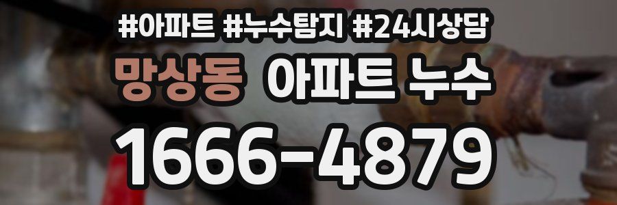 망상동 누수탐지