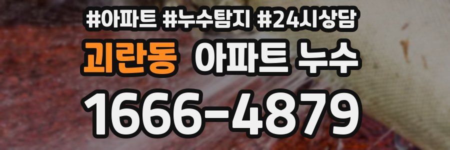 괴란동 누수탐지