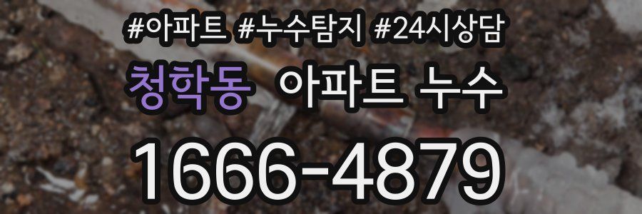 청학동 누수탐지