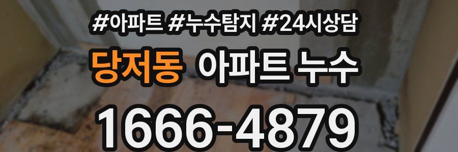 당저동 누수탐지