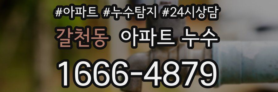 갈천동 누수탐지