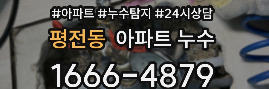 평전동 누수탐지