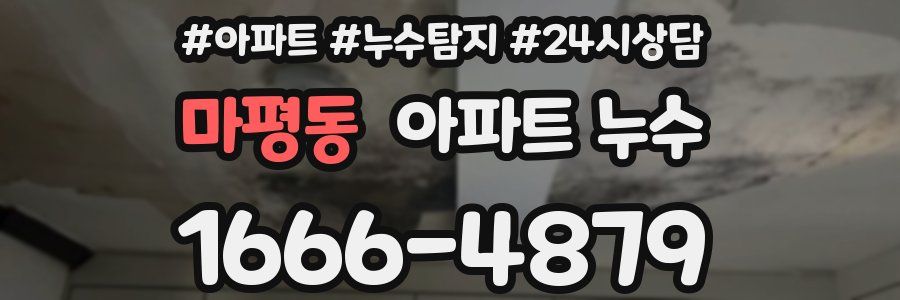 마평동 누수탐지