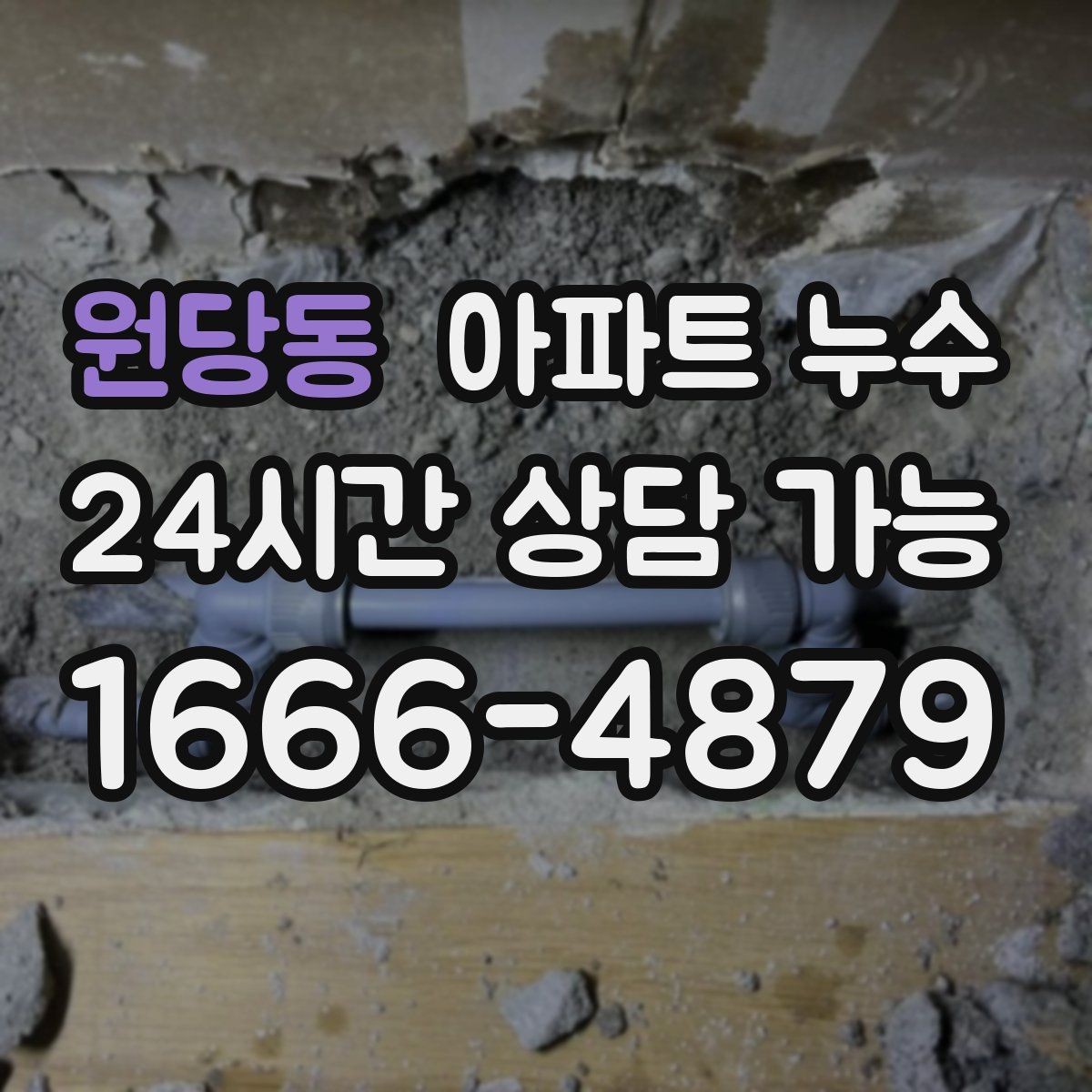 원당동 아파트 누수 세탁기 사용 후 젖을 때 관리사무소 대응 한눈에