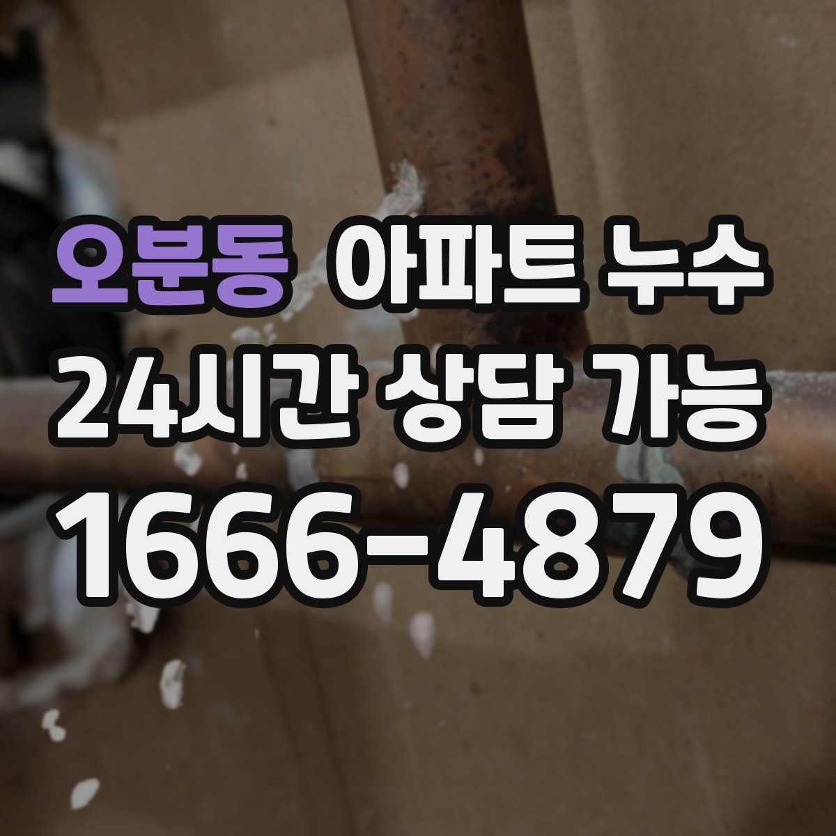 오분동 아파트 누수탐지