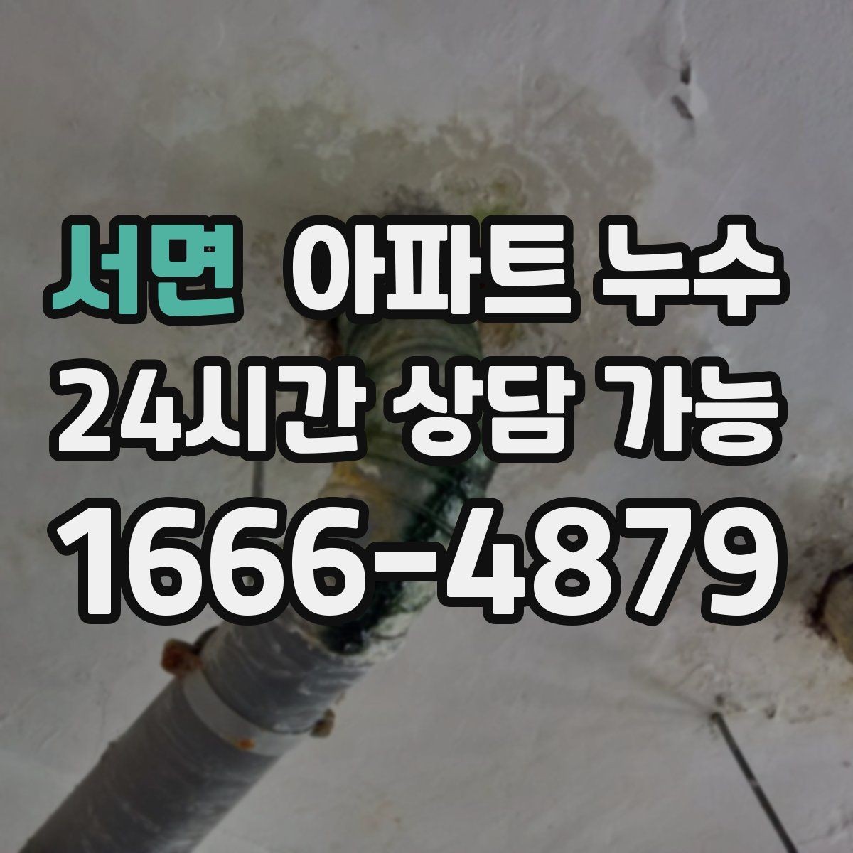 서면 아파트 누수 상황별로 다른 대응 흐름 한눈에