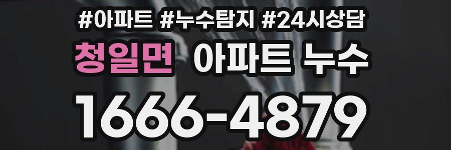 청일면 누수탐지