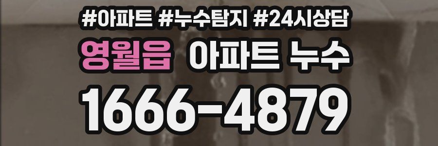 영월읍 누수탐지