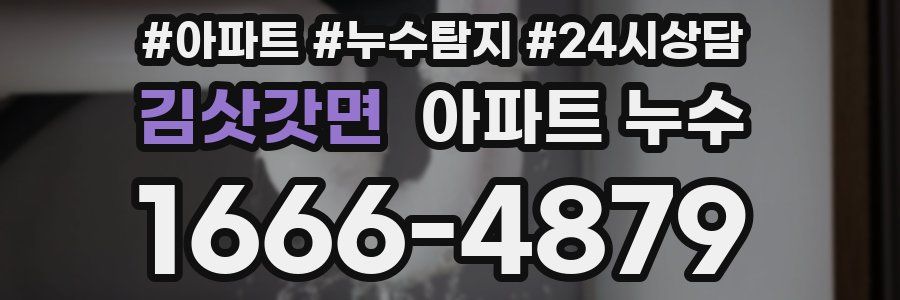 김삿갓면 누수탐지