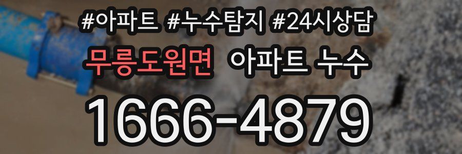 무릉도원면 누수탐지