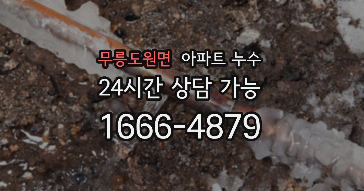 무릉도원면 아파트 누수