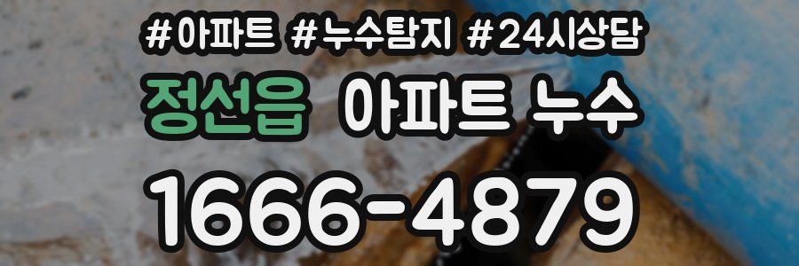 정선읍 누수탐지