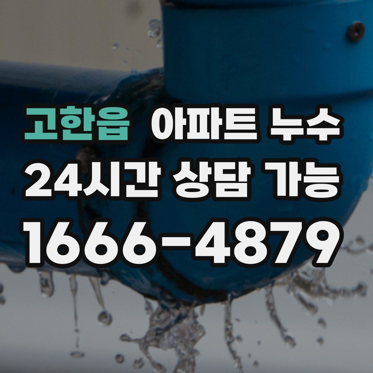 고한읍 아파트 누수 천장과 벽 경계가 젖을 때