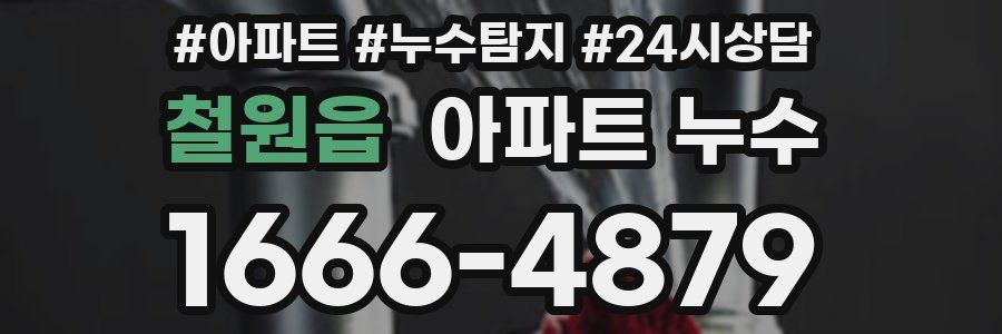 철원읍 누수탐지