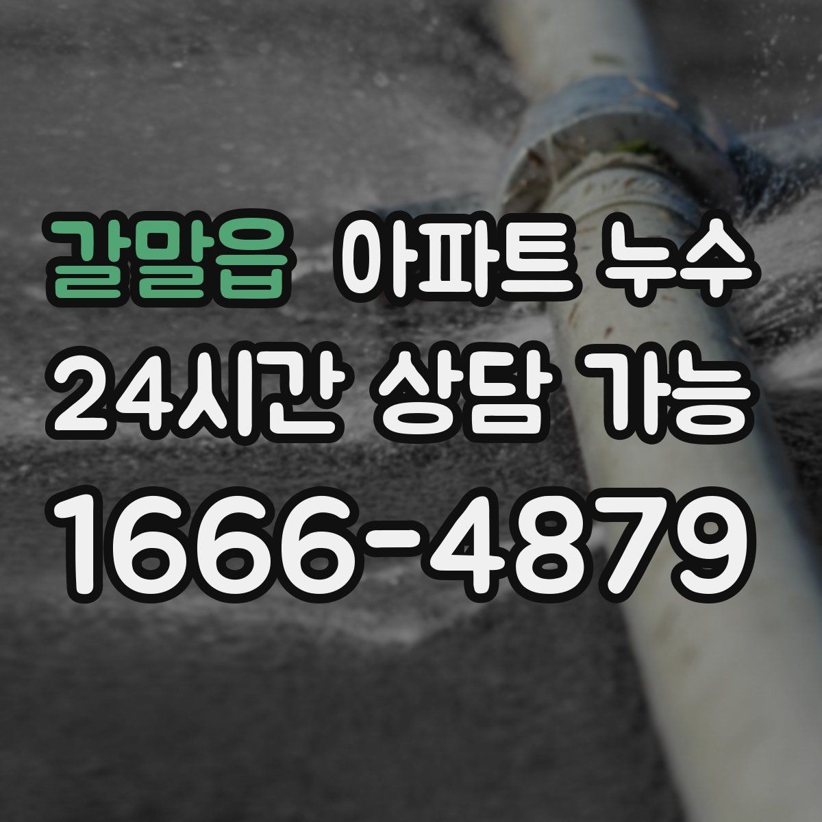 갈말읍 아파트 누수 세탁기 사용 후 젖을 때 관리사무소 대응 한눈에