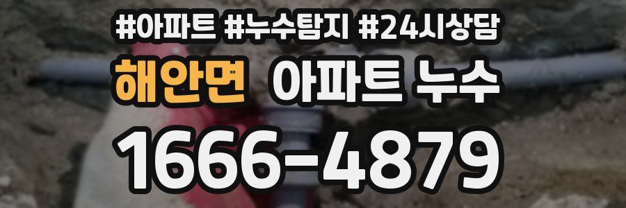 해안면 누수탐지