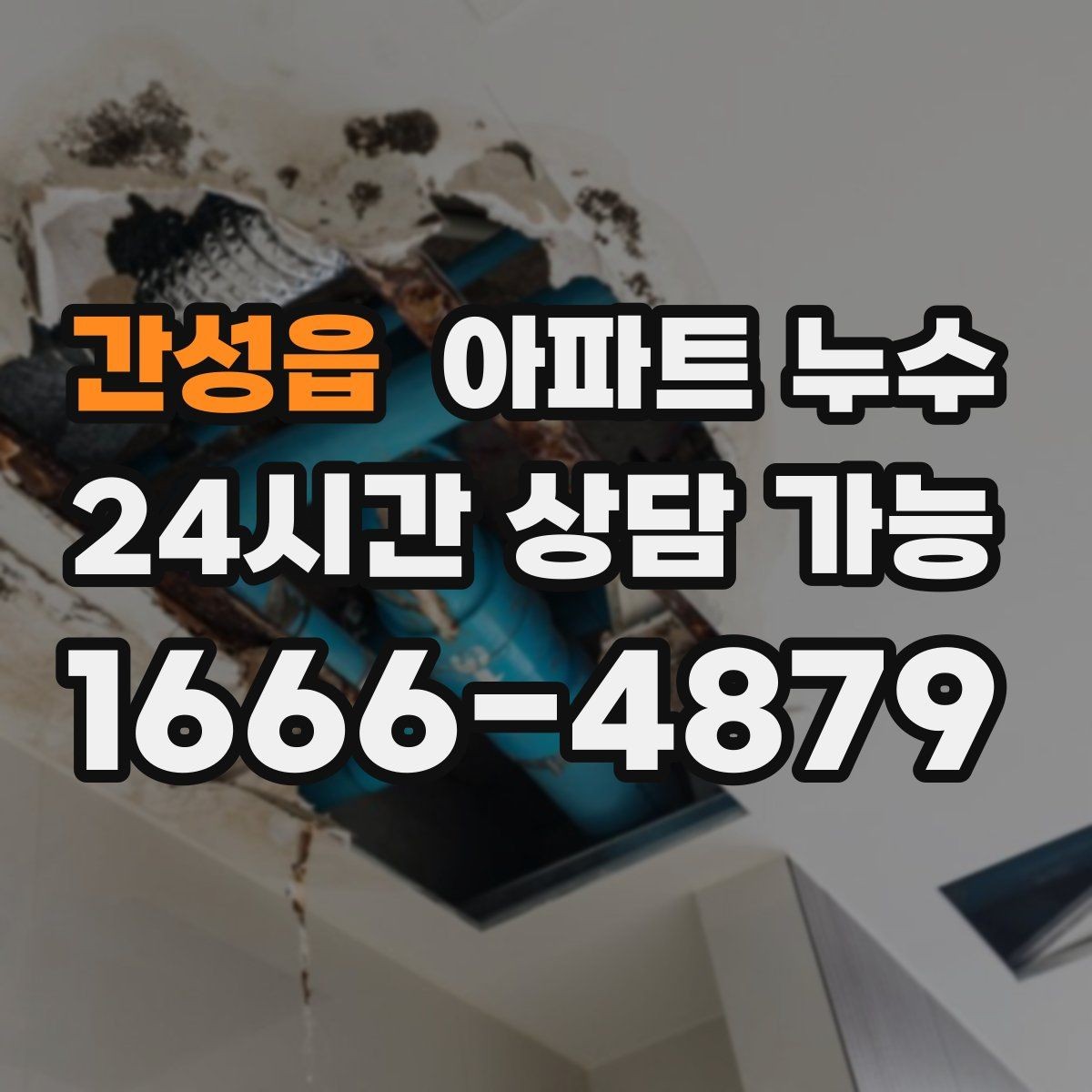 간성읍 아파트 누수 비 온 뒤에만 생기는 물자국의 정체
