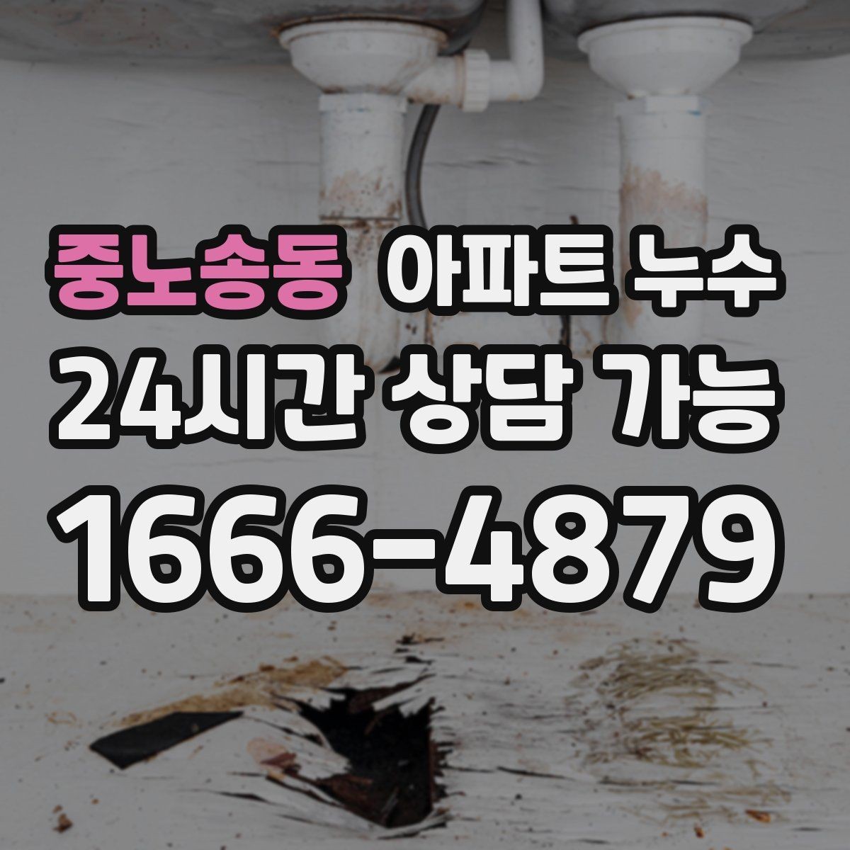 중노송동 아파트 누수 방 천장 얼룩이 생겼다면