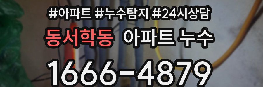 동서학동 누수탐지