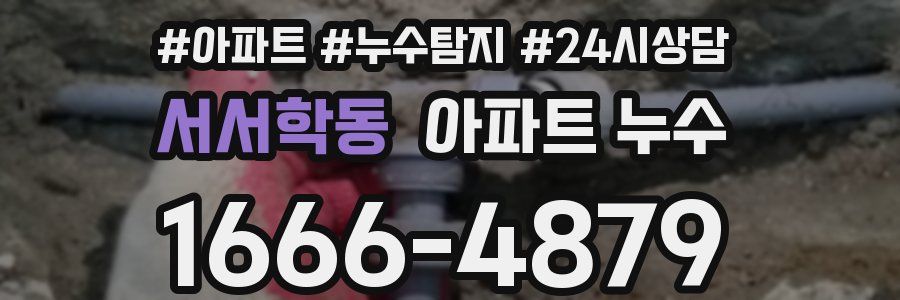 서서학동 누수탐지