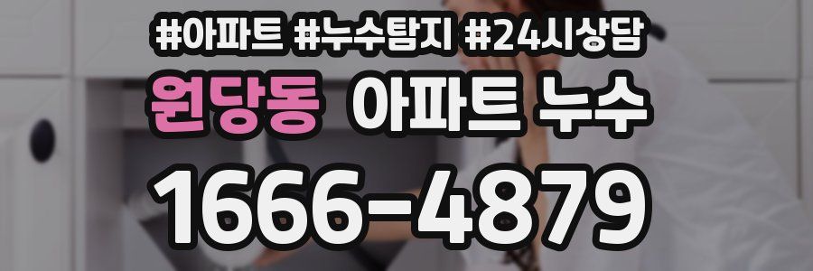 원당동 누수탐지