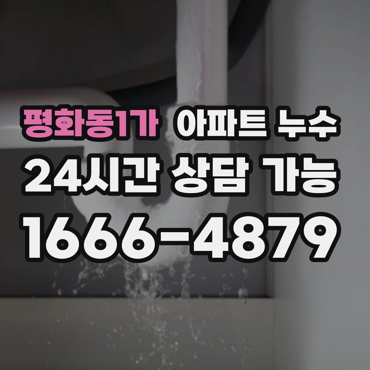 평화동1가 아파트 누수탐지