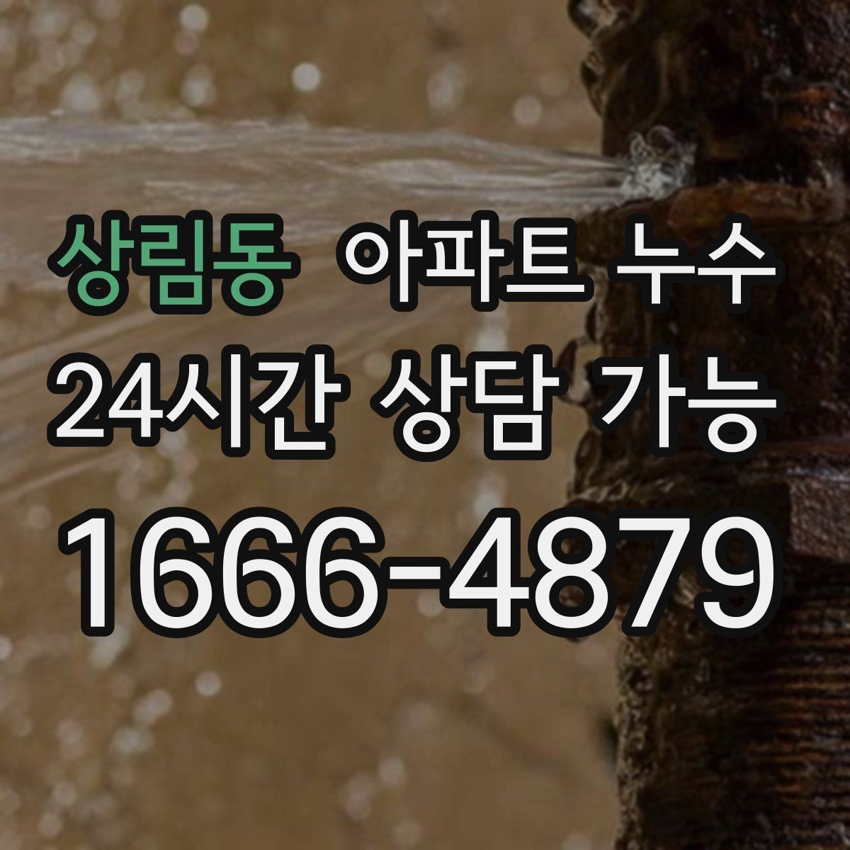 상림동 아파트 누수 물소리 들릴 때 확인해야 하는 포인트
