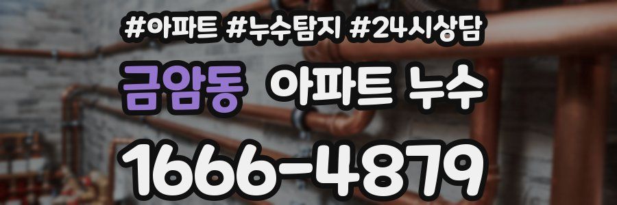 금암동 누수탐지