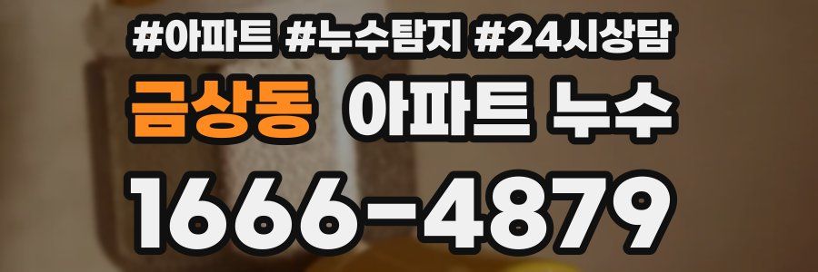 금상동 누수탐지