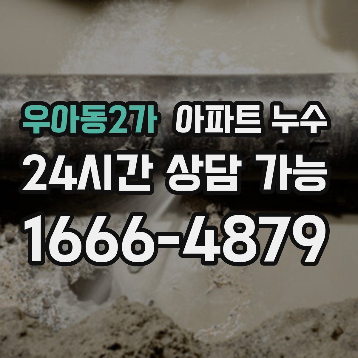 우아동2가 아파트 누수탐지