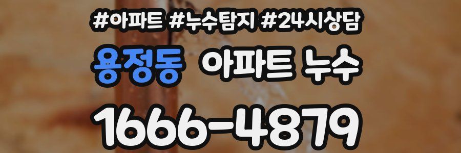 용정동 누수탐지