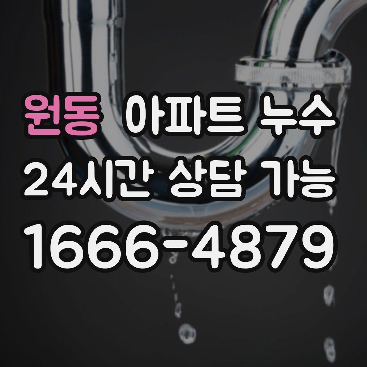 원동 아파트 누수 거실 방 다용도실 증상 비교 정리