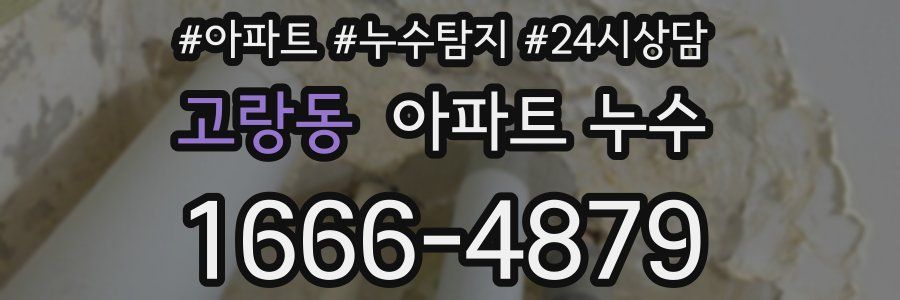 고랑동 누수탐지