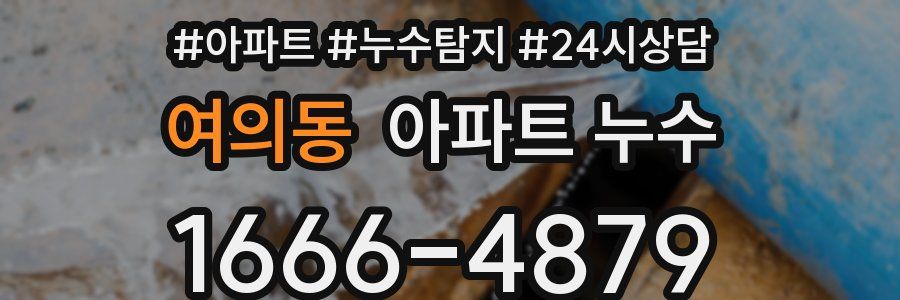 여의동 누수탐지