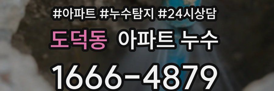 도덕동 누수탐지