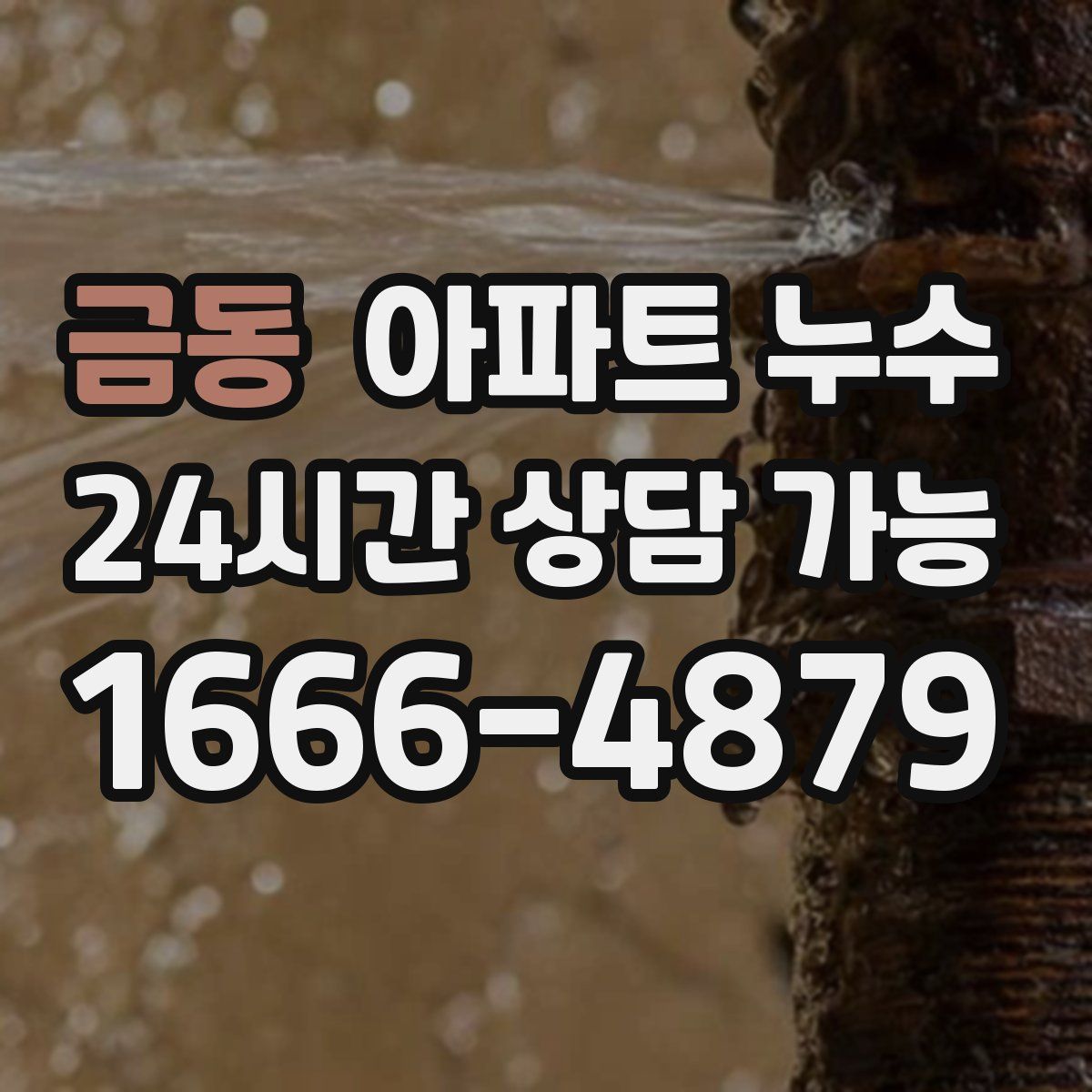 금동 아파트 누수탐지