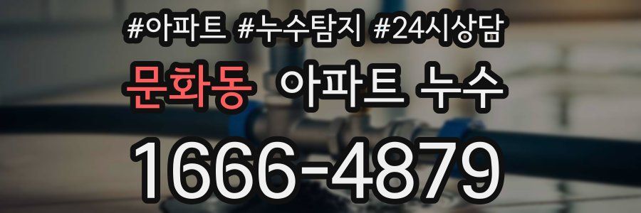 문화동 누수탐지