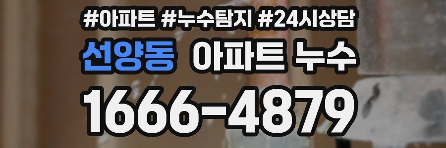 선양동 누수탐지